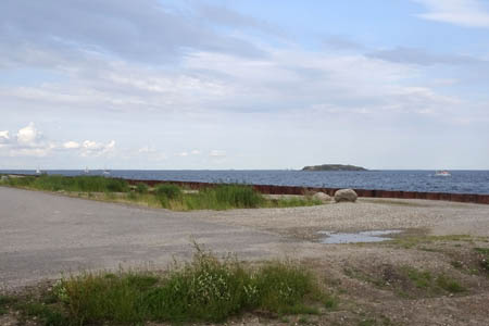 DSC07399.jpg