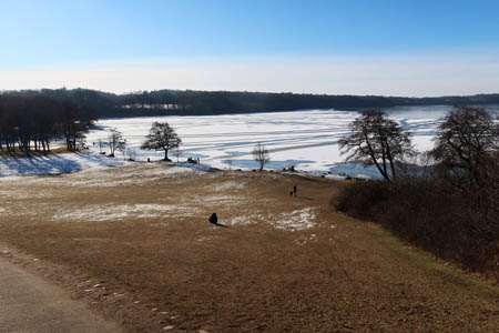 IMG_2427.jpg