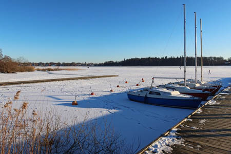 IMG_2463.jpg