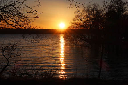 IMG_2716.jpg