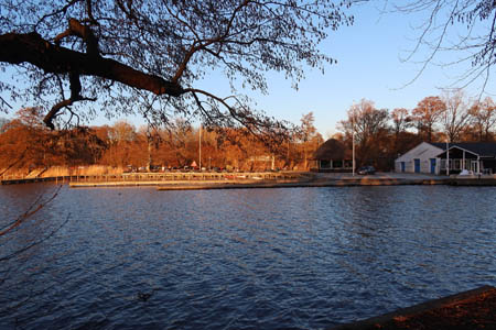 IMG_2781.jpg