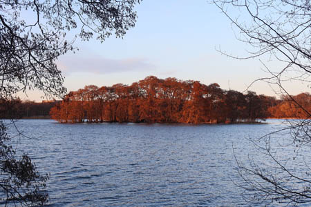 IMG_2788.jpg