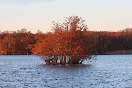 IMG_2789.jpg