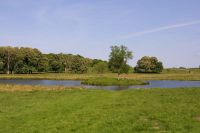 157-5772_IMG.jpg