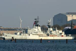 IMG_2885.jpg