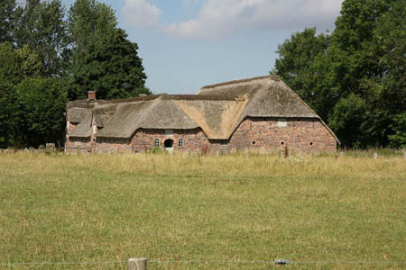 Juli 2008: Frilandsmuseet