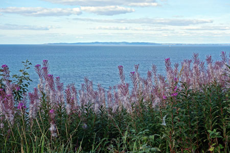 i0824.jpg