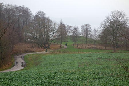 i1214.jpg