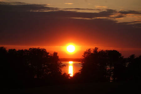 DSC06940.jpg