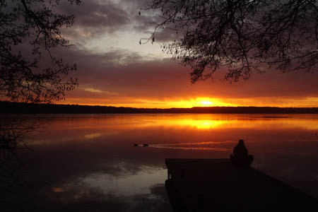 DSC08348.jpg